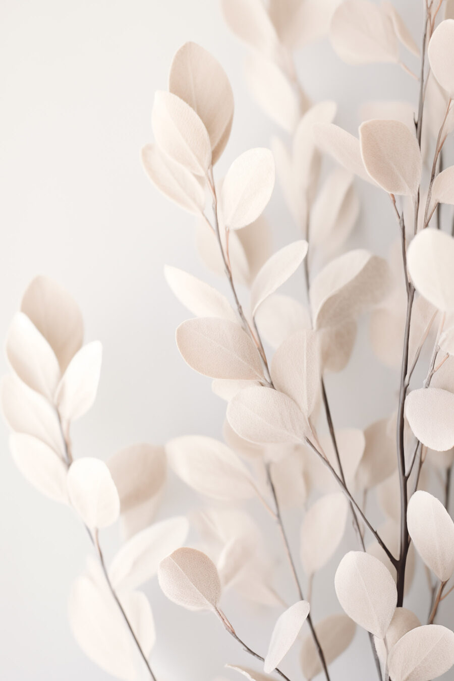 Ramos de folhas claras — design completo