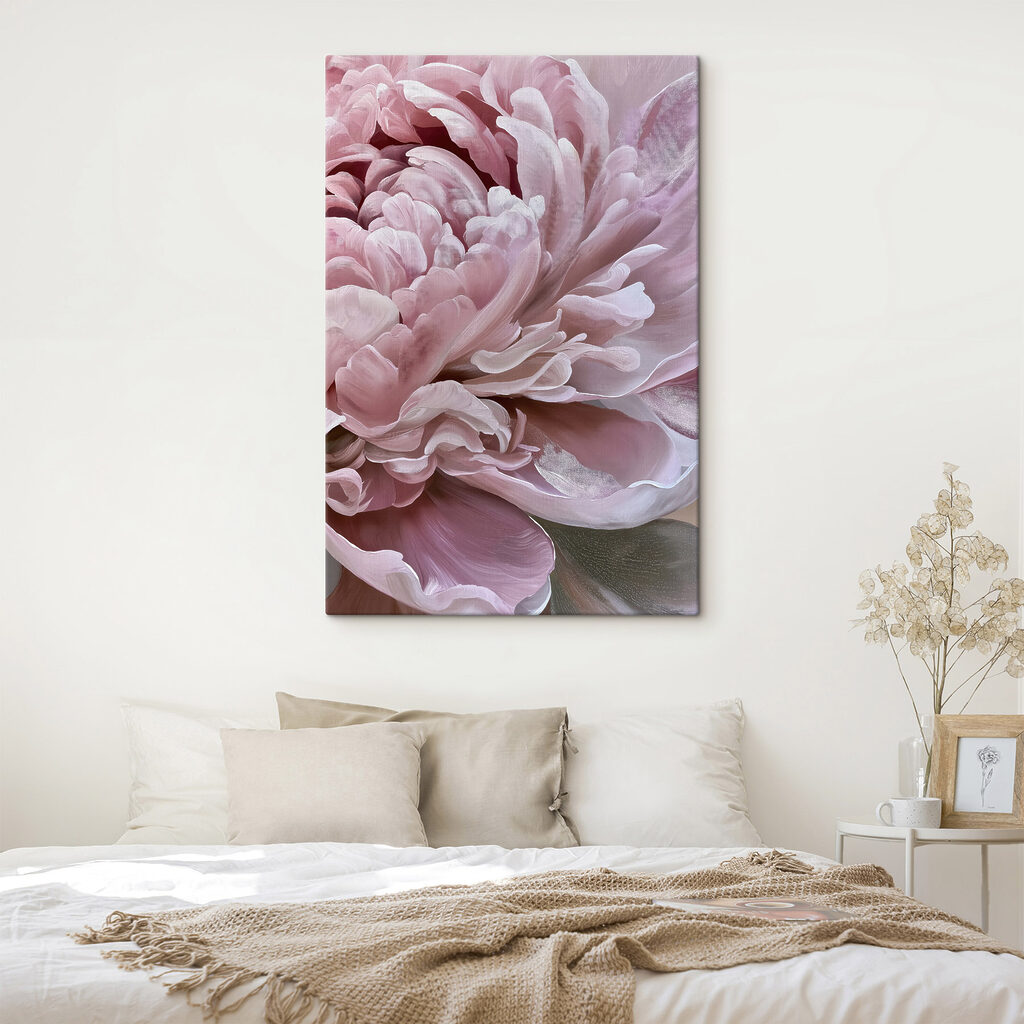 Peónia rosa encaracolada — interior 1