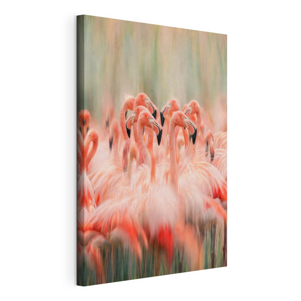 Bando de flamingos esbatido — vista do produto