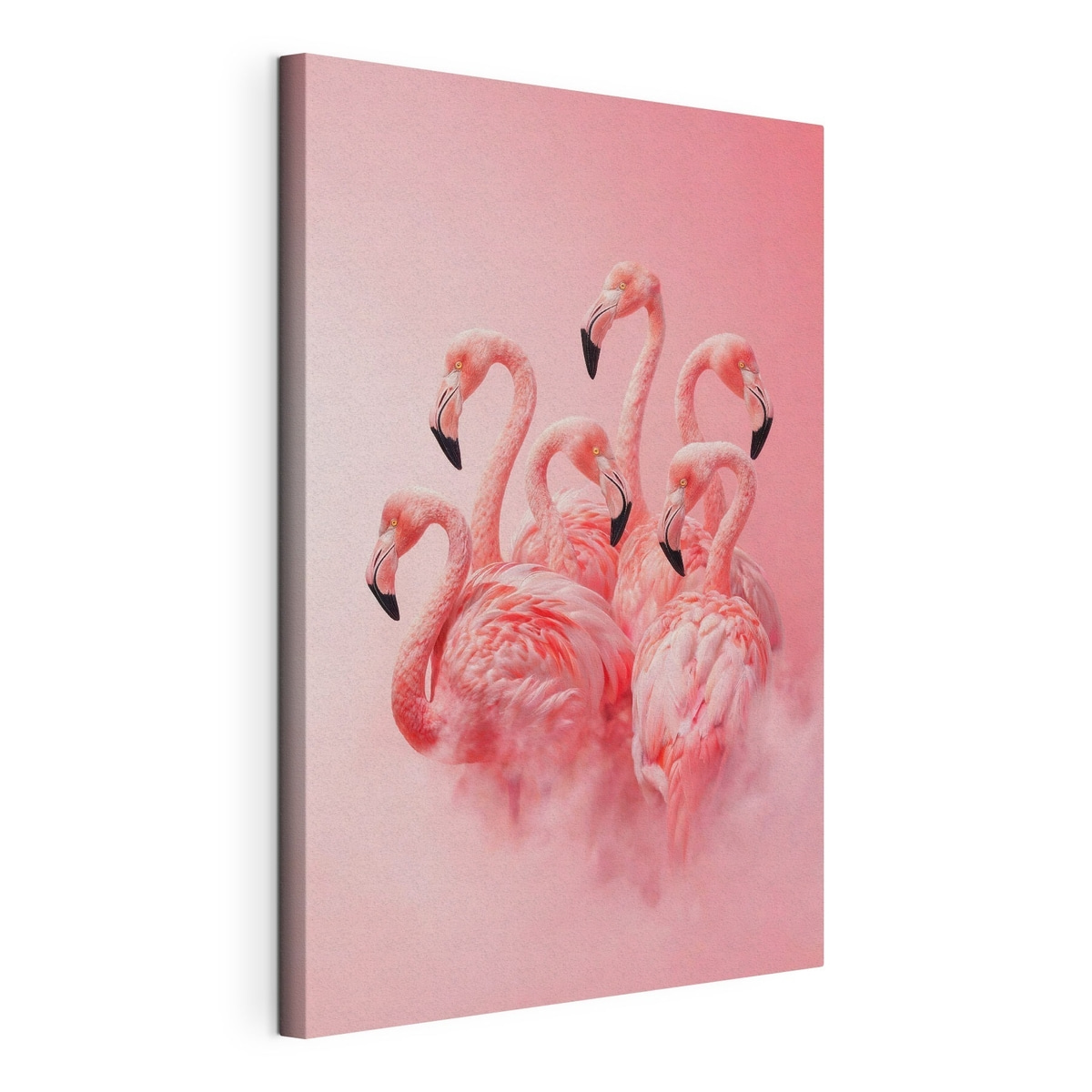 Flamingos na névoa, tela esticada e borda contínua
