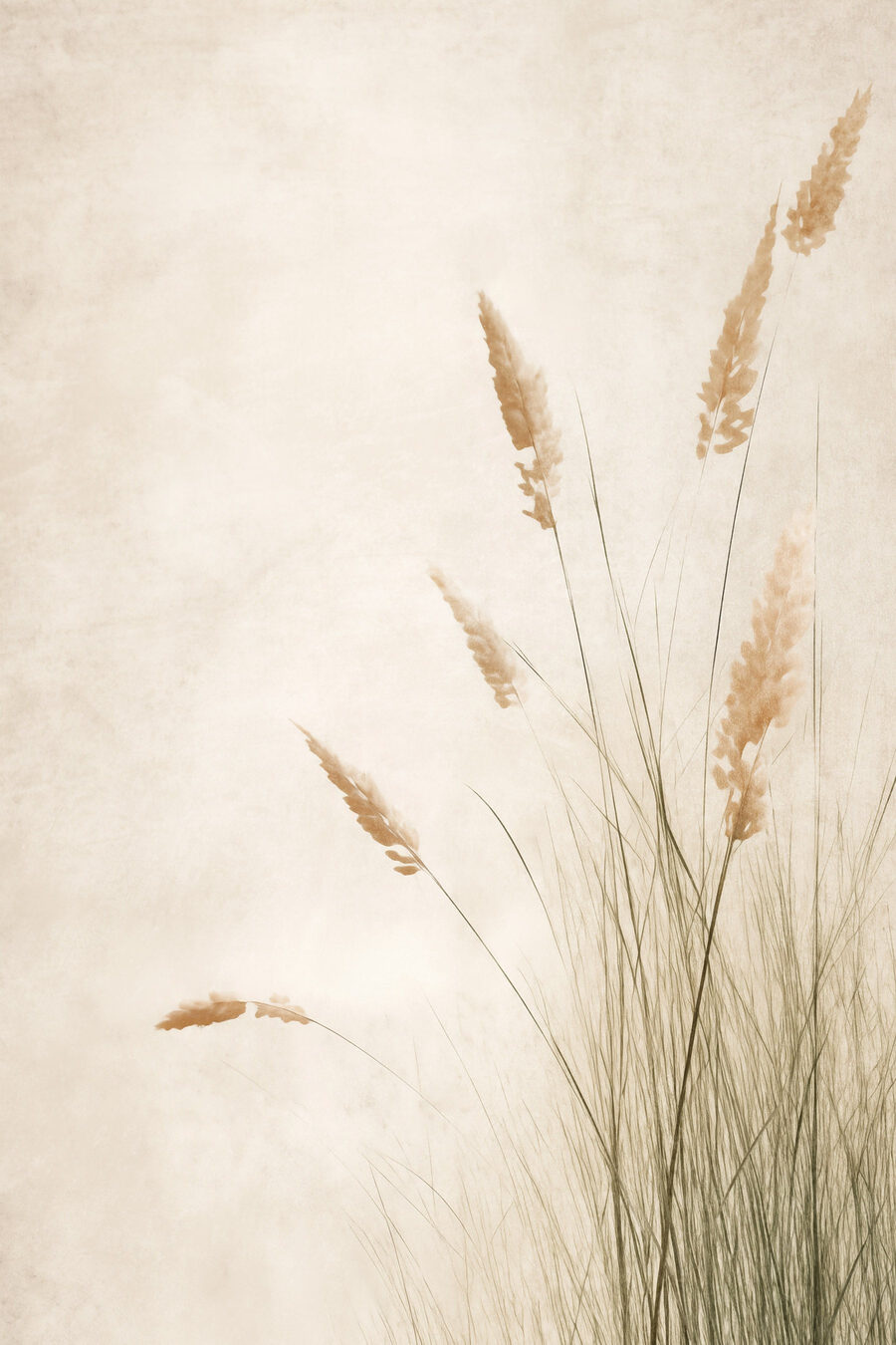 Hastes esguias sobre creme — design completo