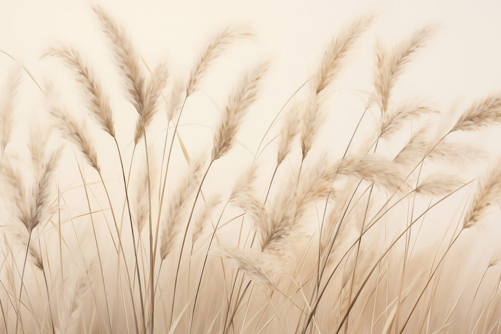 Gramíneas plumosas em areia — design completo