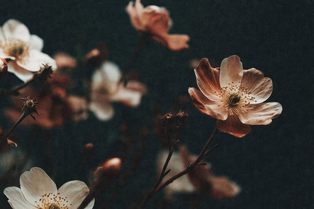 Flores cor de ferrugem — design completo