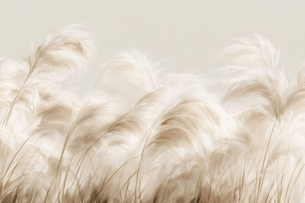 Plumas creme em contraluz — design completo
