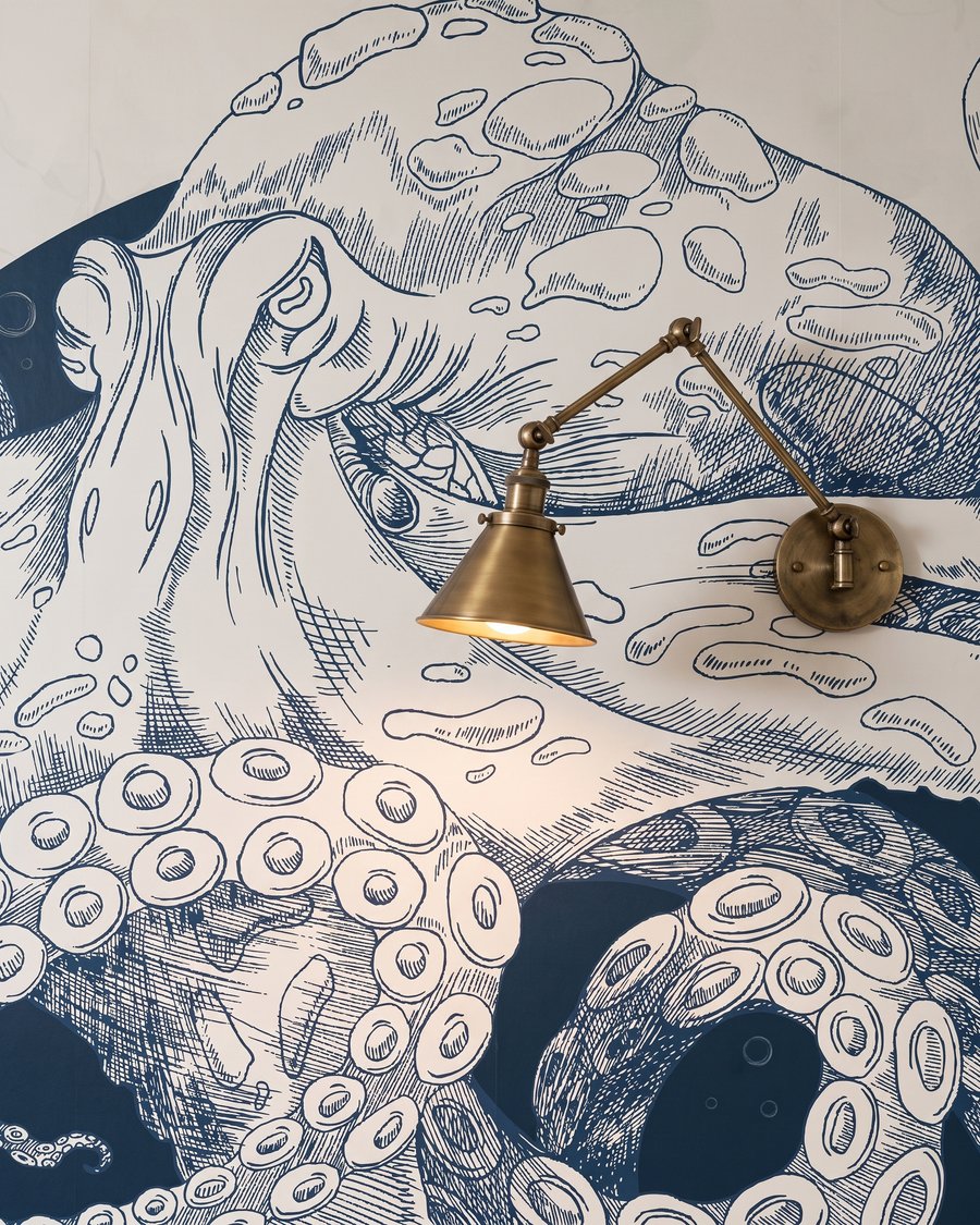 Polvo com espirais — detalhe