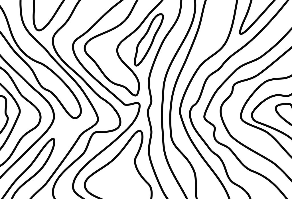 Linhas que se ramificam — design completo