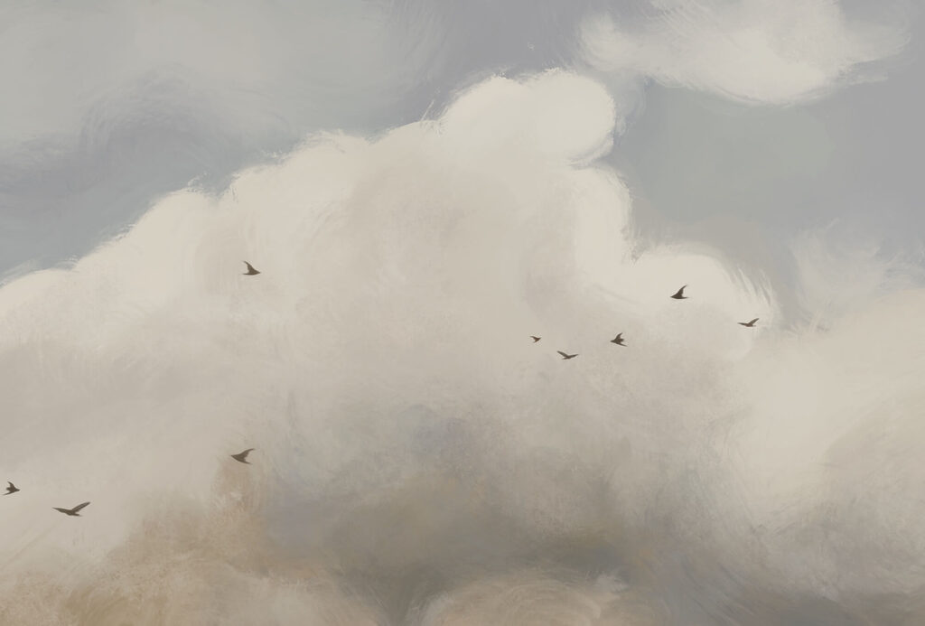 Pássaros sob as nuvens — design completo