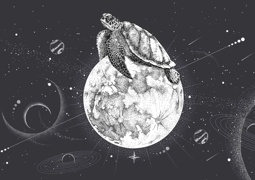 Tartaruga-marinha na lua — design completo