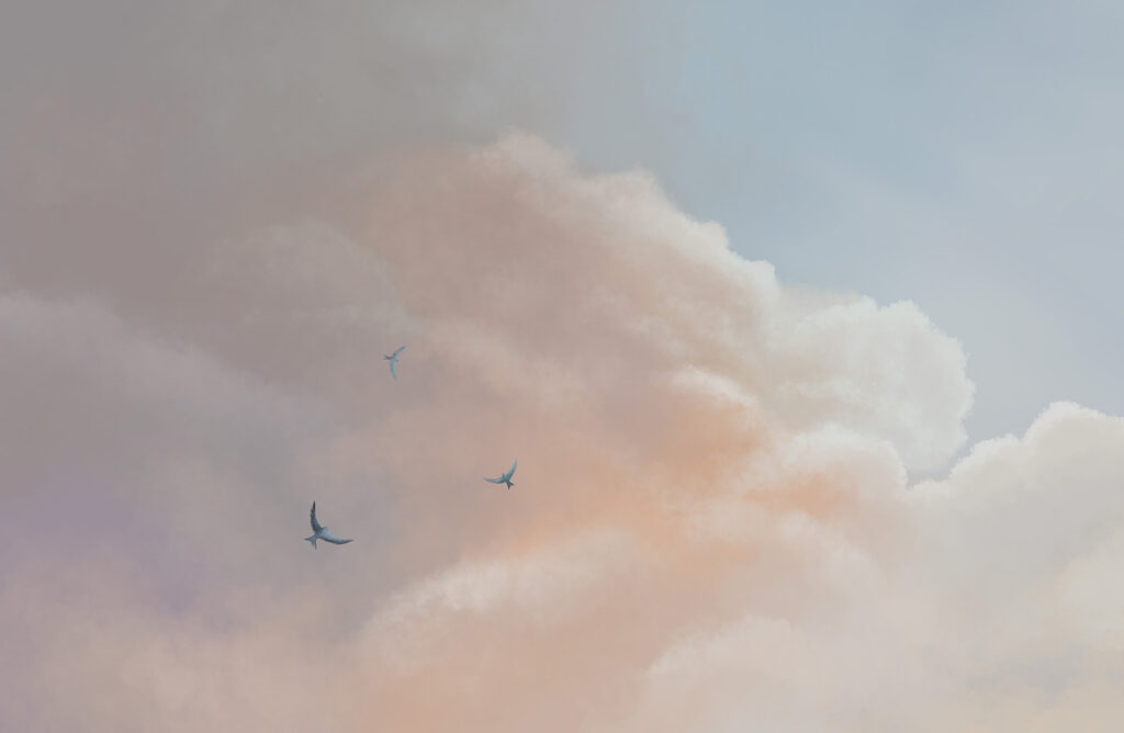 Nuvens cor-de-rosa ao longe — design completo