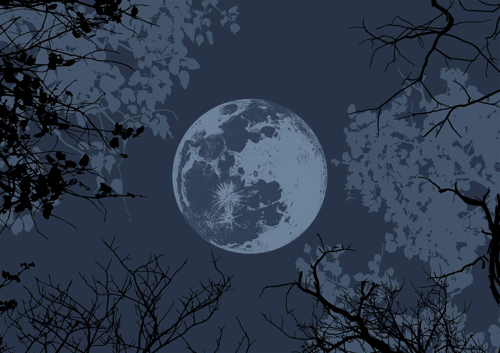 Lua entre os ramos — design completo