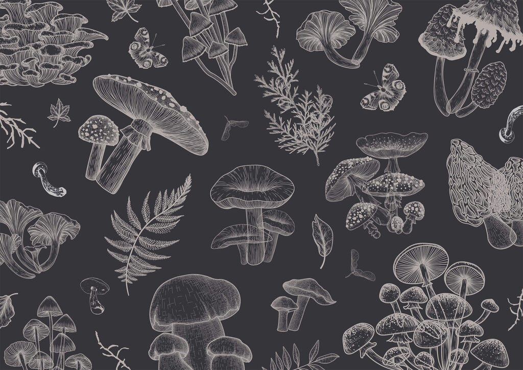 Cogumelos em linhas finas — design completo