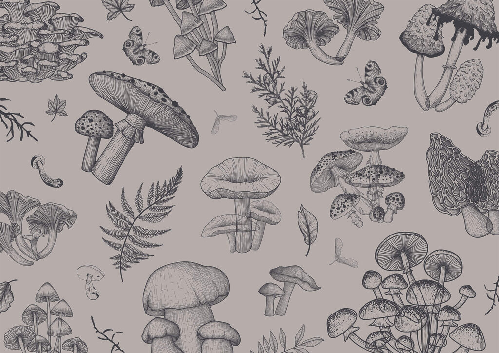 Cogumelos em linhas finas — design completo