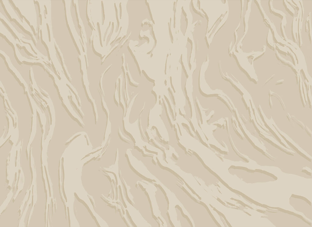 Linhas longas e orgânicas — design completo