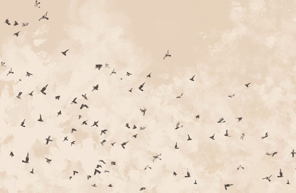 Bando de aves — design completo