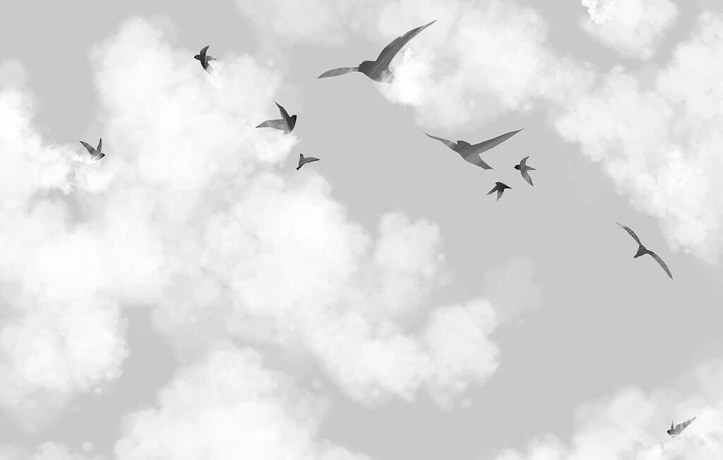 Aves entre nuvens brancas — design completo