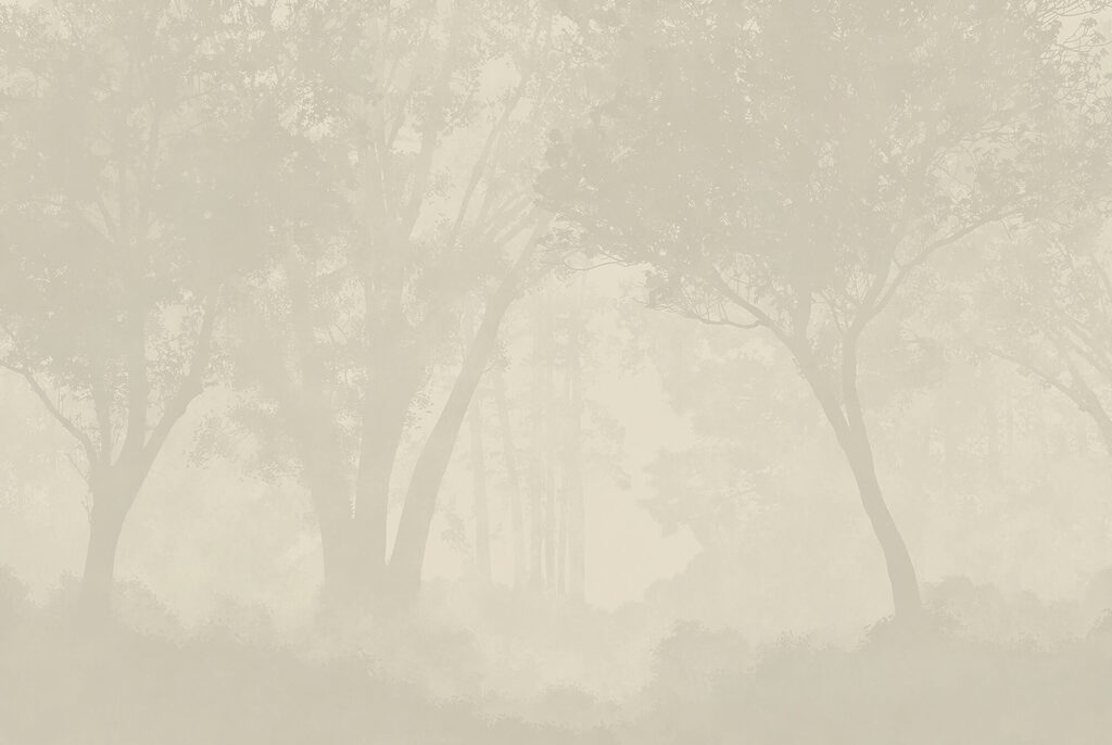 Árvores na neblina — design completo