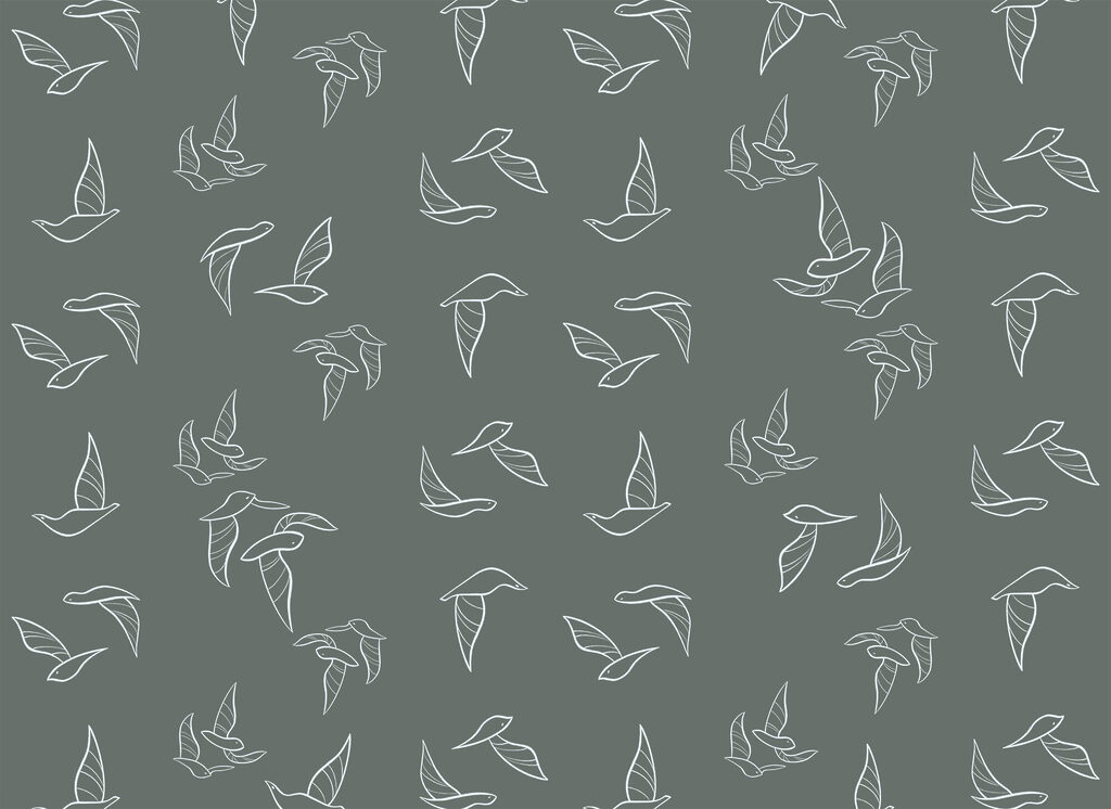 Contornos de aves — design completo
