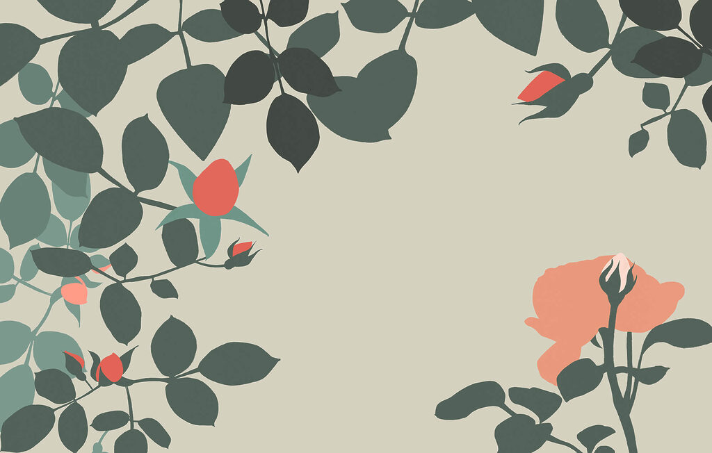Rosas em moldura aberta — design completo