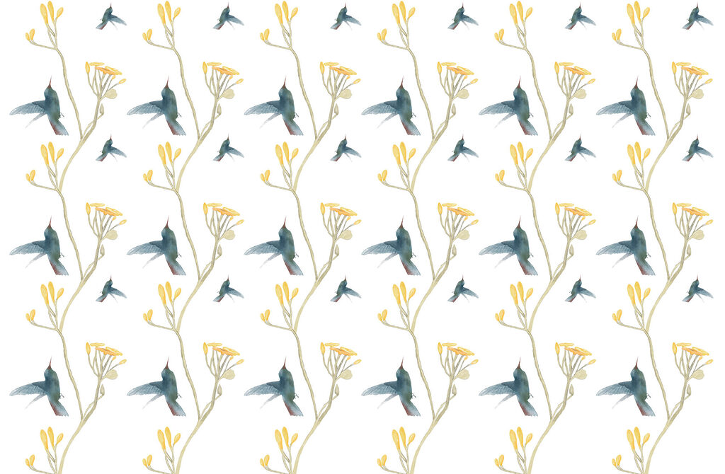 Colibris entre flores amarelas — design completo