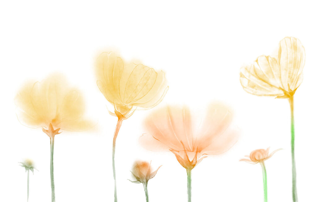 Flores amarelas, caules finos — design completo