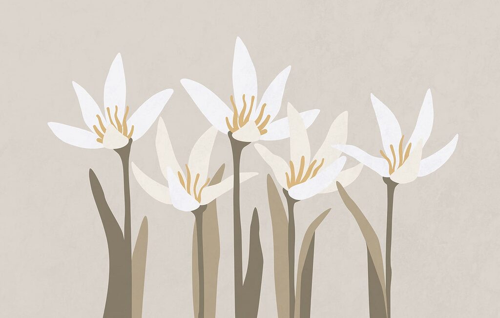 Flores brancas estilizadas — design completo