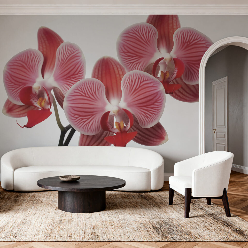 Orquídea rosa sobre branco — interior 1