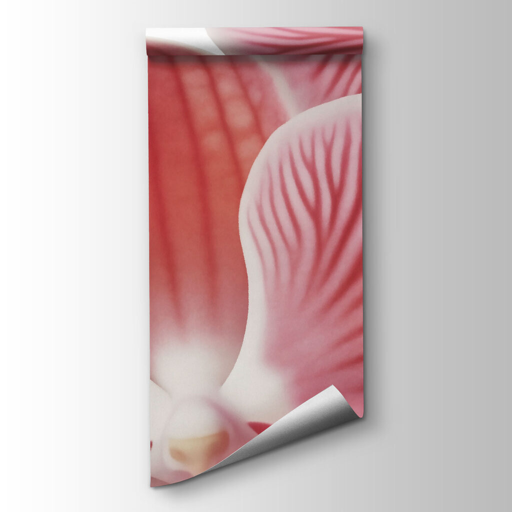 Orquídea rosa sobre branco — vista do produto