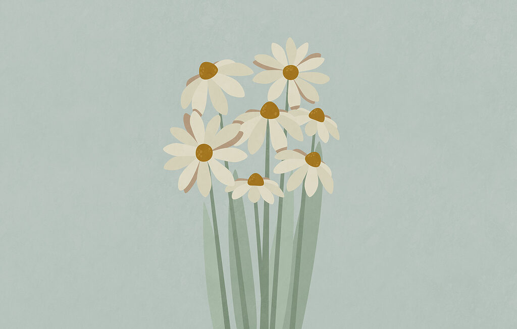 Margaridas em hastes longas — design completo