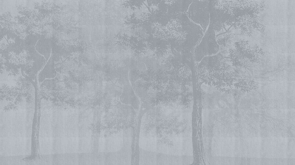 Árvores altas que desvanecem — design completo
