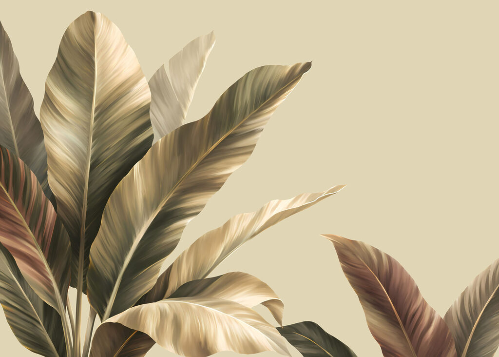 Folhas largas — design completo
