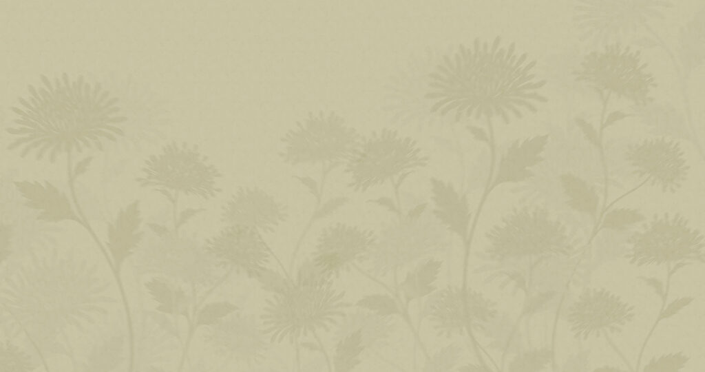 Silhuetas florais — design completo