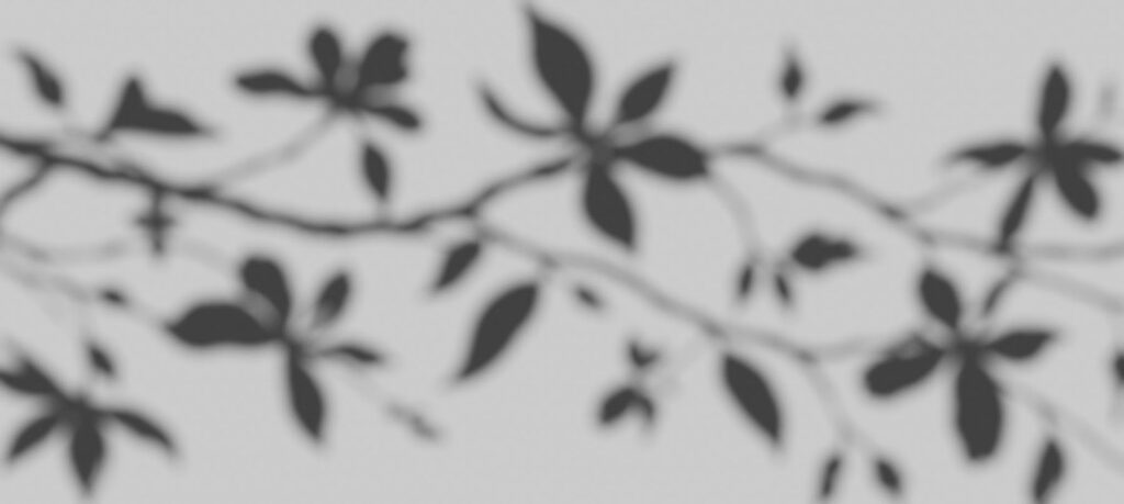 Silhuetas de folhas — design completo