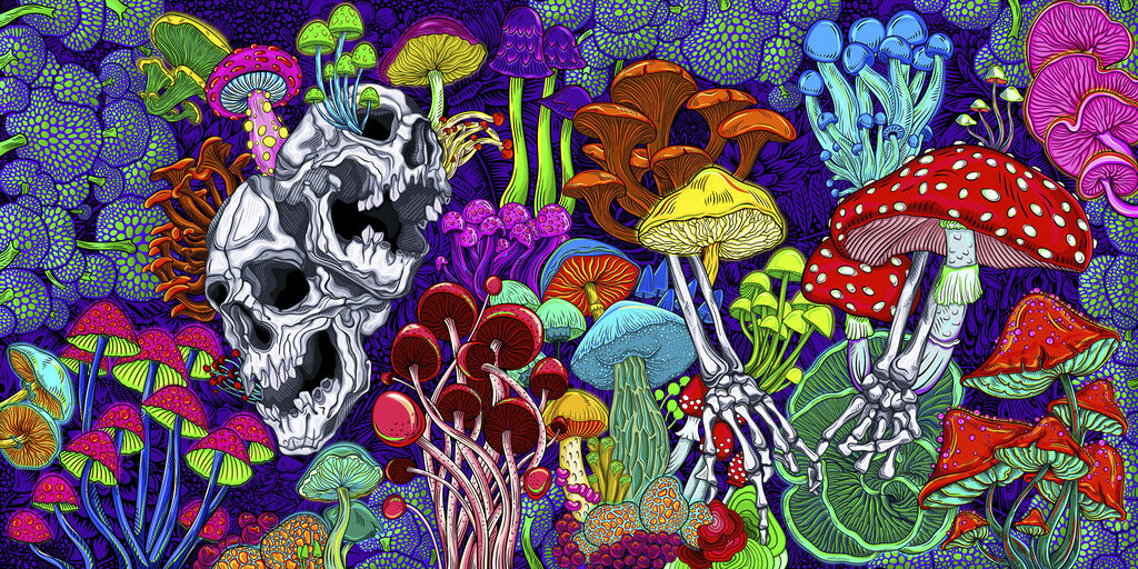 Crânio em fundo roxo — design completo