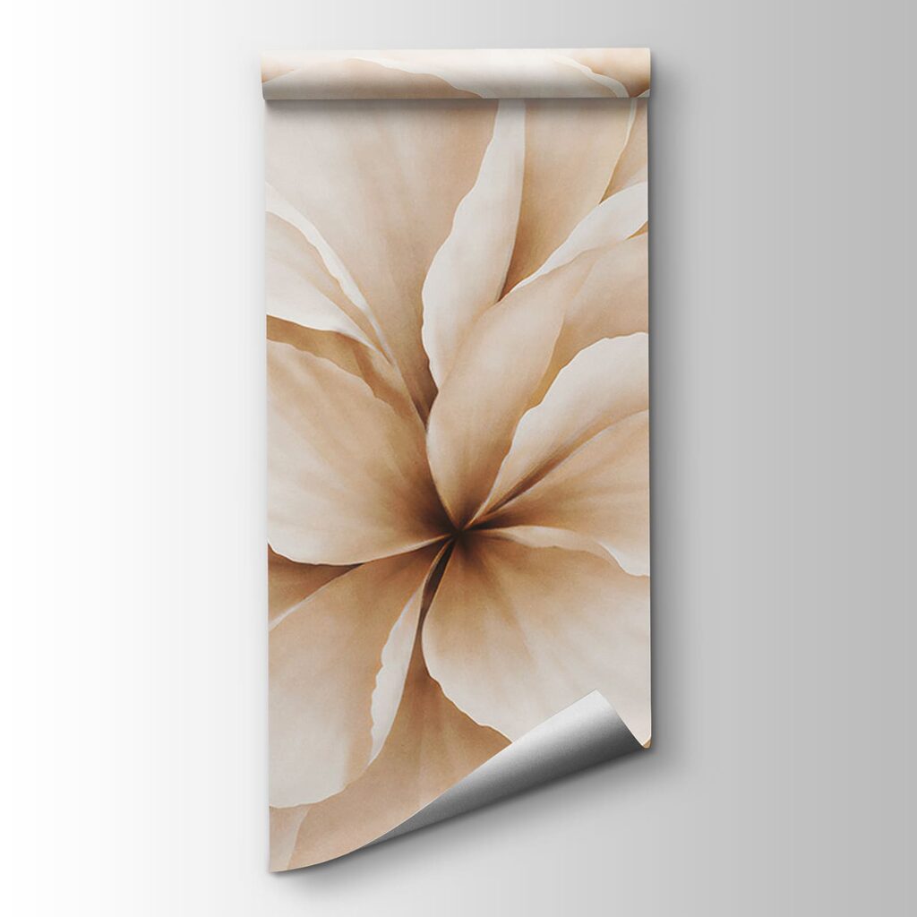 Flores grandes em creme — vista do produto