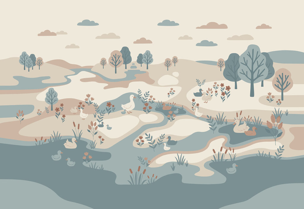 Aves em águas sinuosas — design completo
