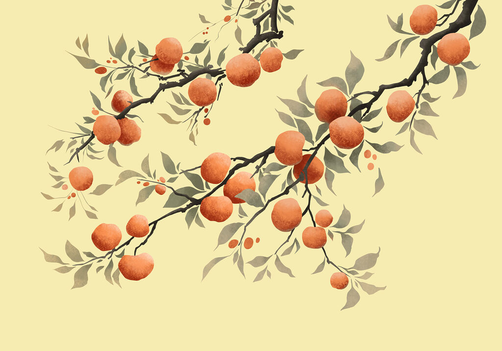 Laranjas em ramos curvos — design completo