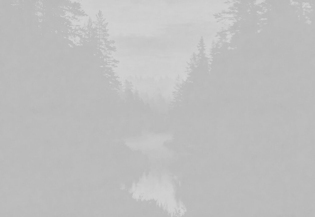Floresta que se desvanece — design completo