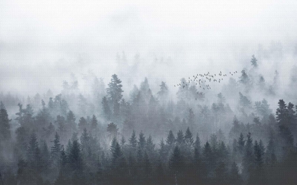 Aves sobre bosque enevoado — design completo