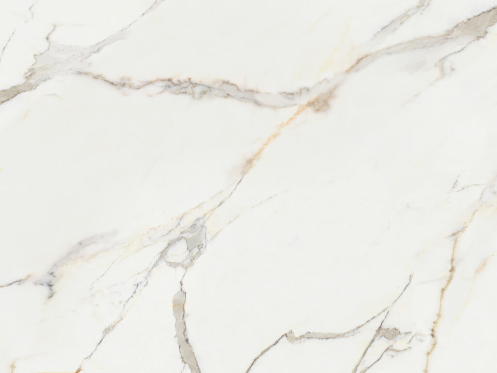 Veios finos sobre branco — design completo