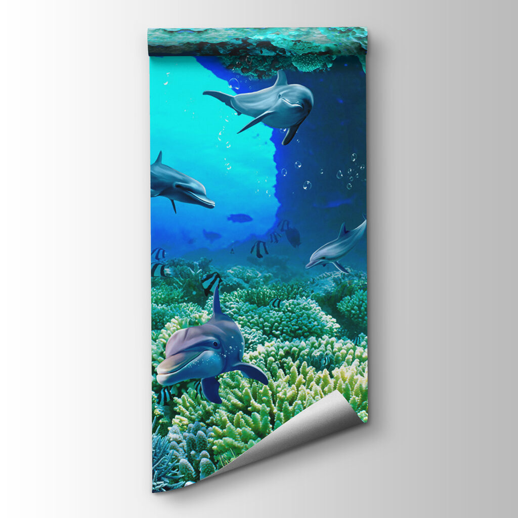 Golfinhos sob o coral — vista do produto