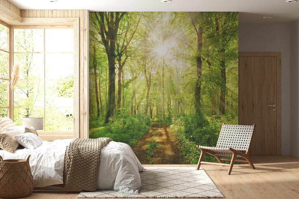 Trilho luminoso no bosque — interior 7
