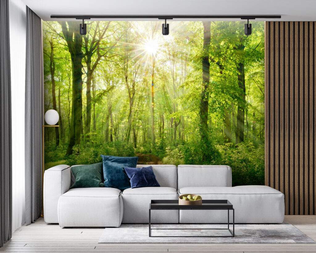 Trilho luminoso no bosque — interior 3