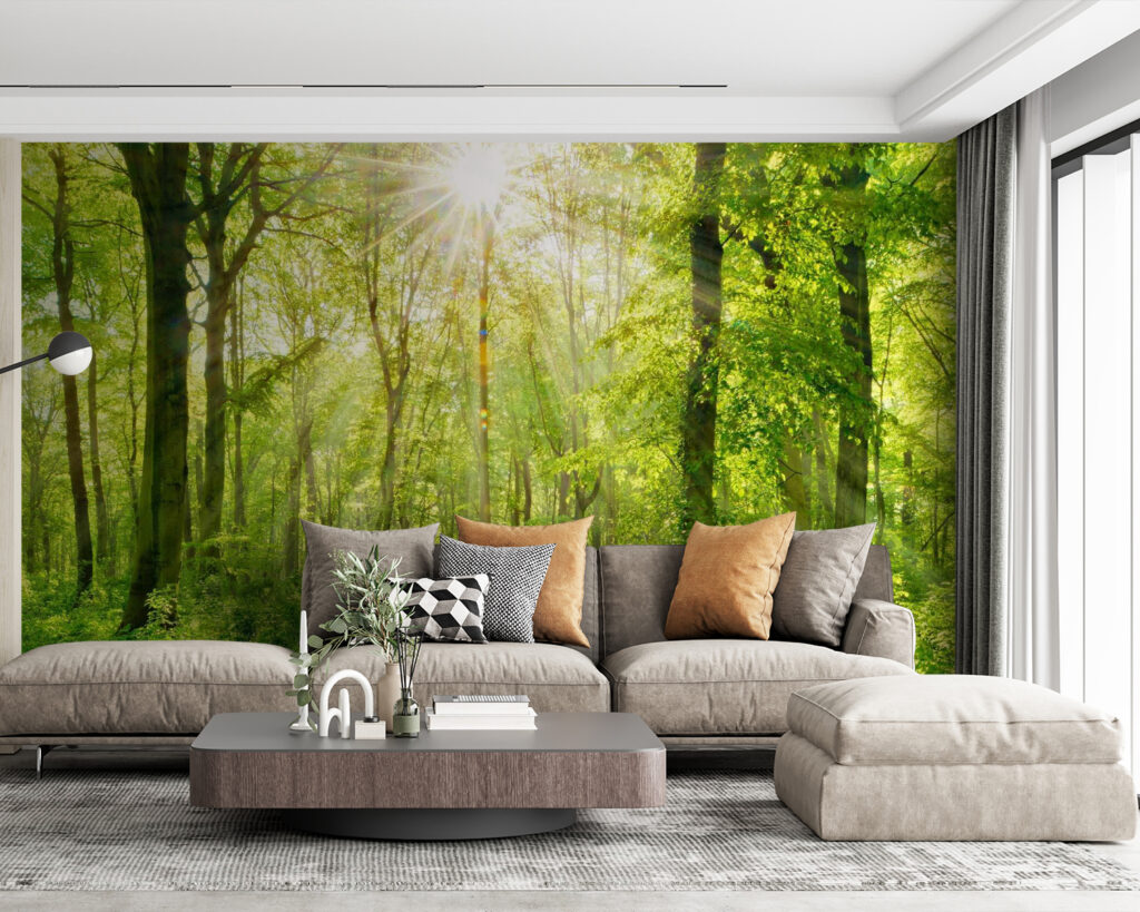 Trilho luminoso no bosque — interior 4