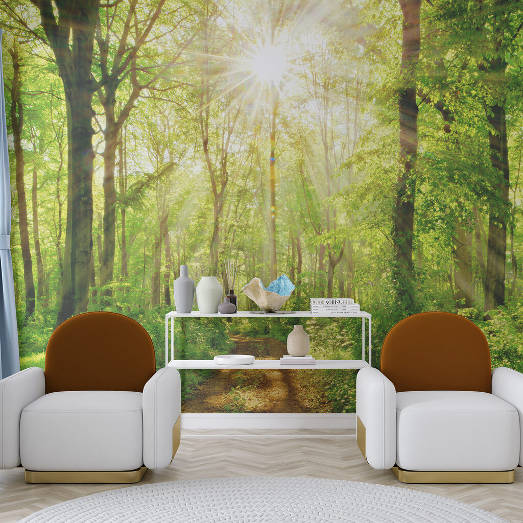 Trilho luminoso no bosque — interior 6