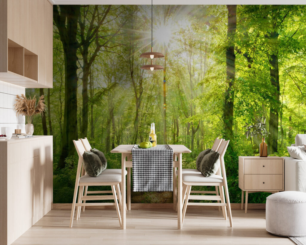 Trilho luminoso no bosque — interior 5