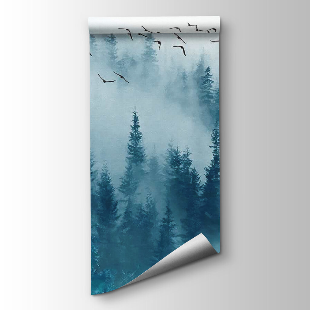 Voo sobre bosque azul — vista do produto