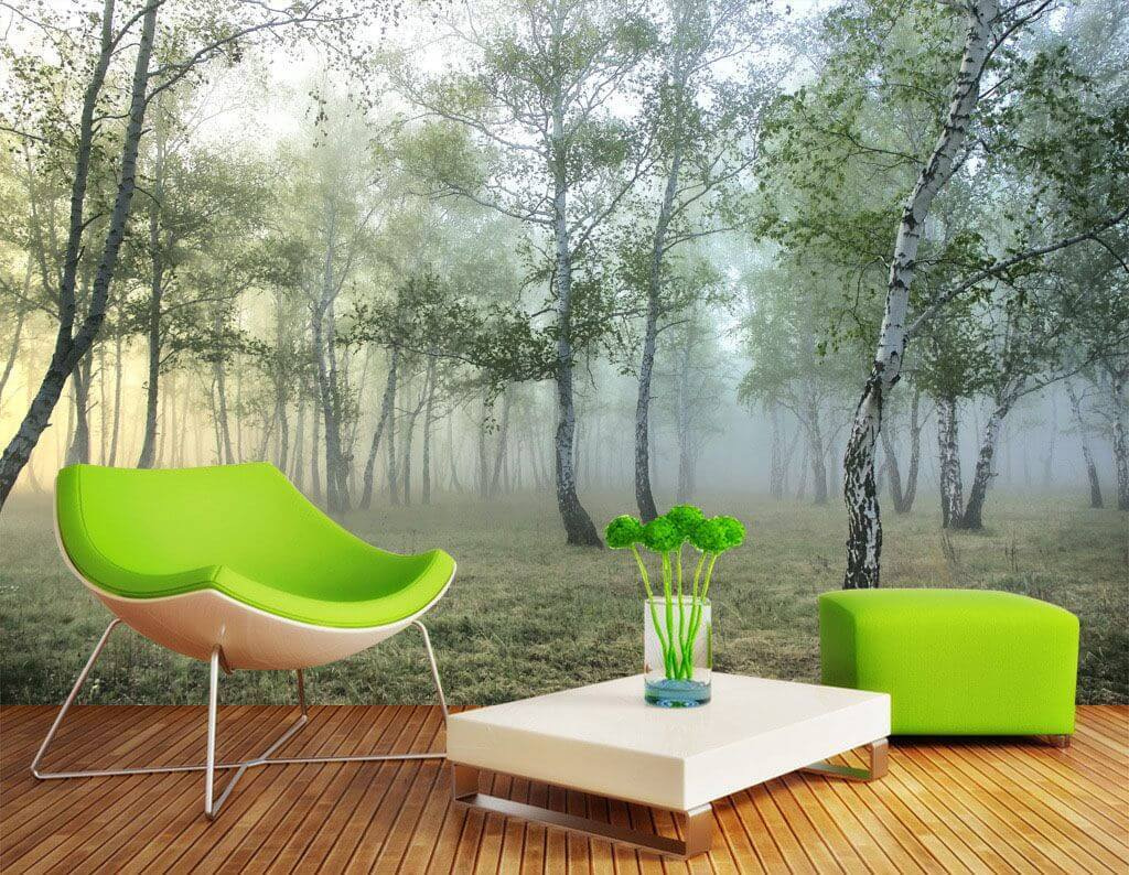 Bosque de bétulas — interior 1