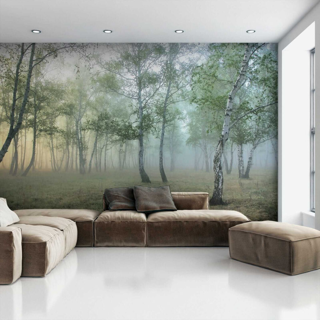 Bosque de bétulas — interior 5