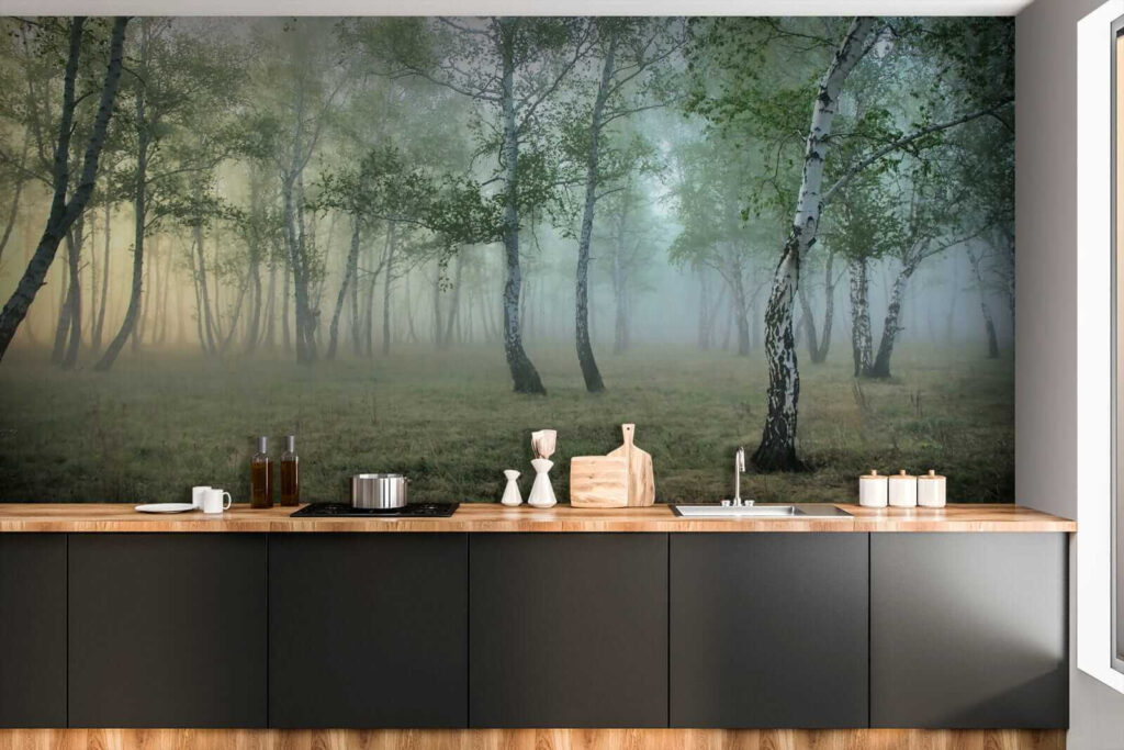 Bosque de bétulas — interior 7