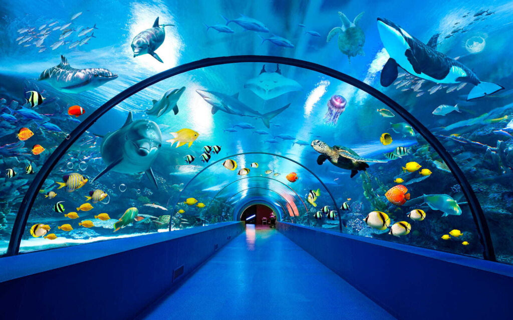 Túnel subaquático com peixes — design completo